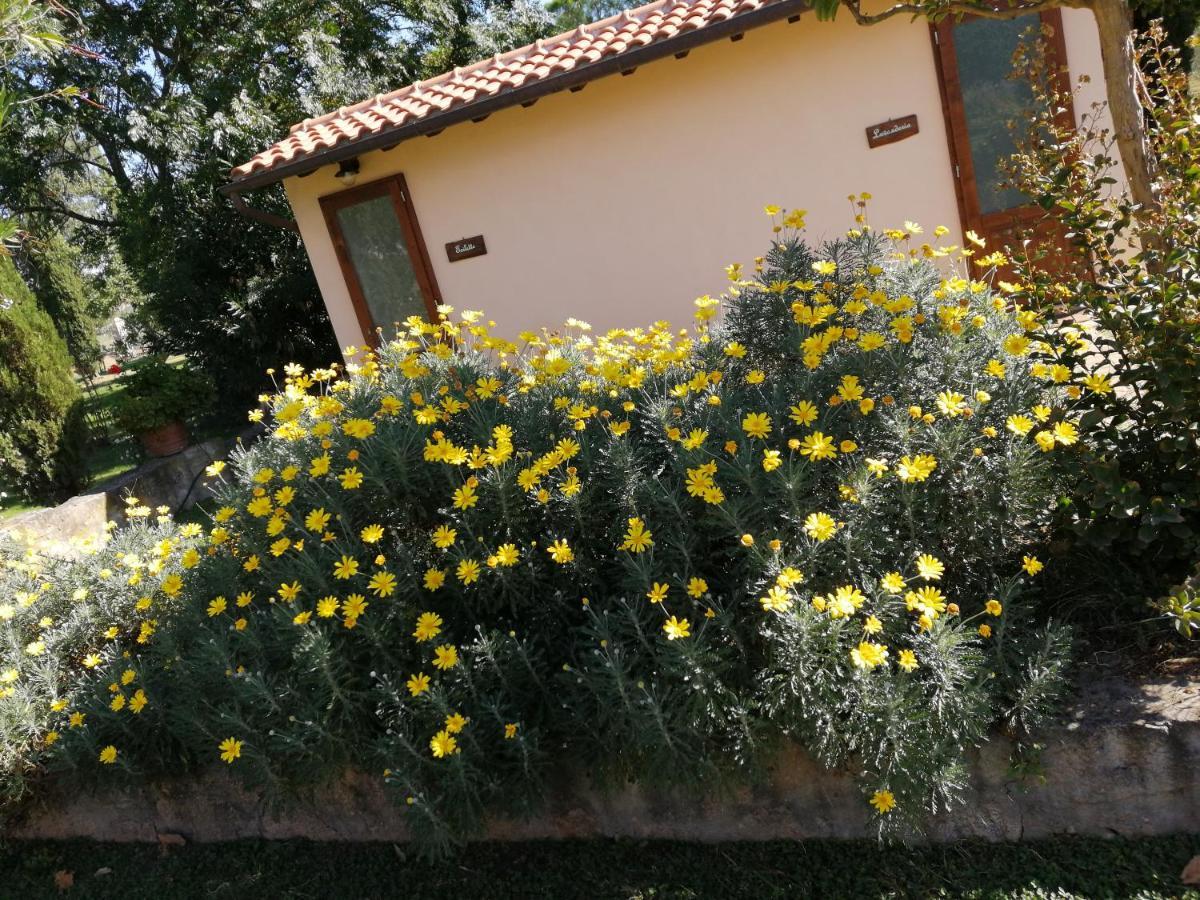 Il Podere Di Sole Roccastrada Exterior photo